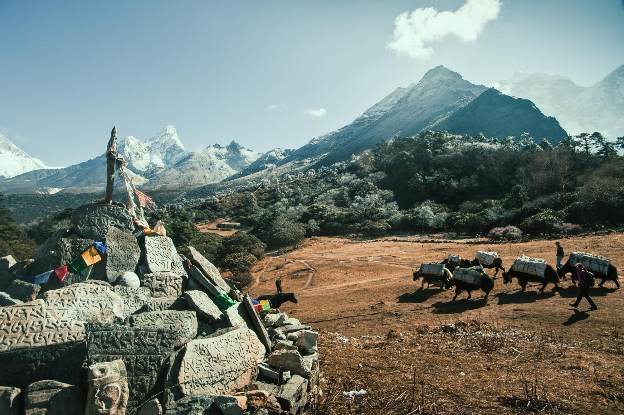 Mountain Lodges Of Nepal - Namche Exteriör bild